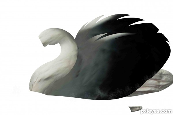 Creation of Blue swan: Step 3